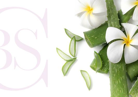 Aloe vera e fiori frangipane. Clabskin